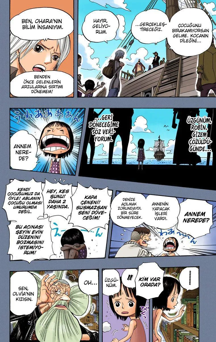 One Piece [Renkli] - Sayfa 15