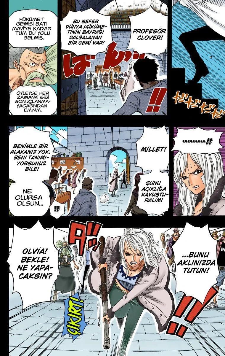 One Piece [Renkli] - Sayfa 17