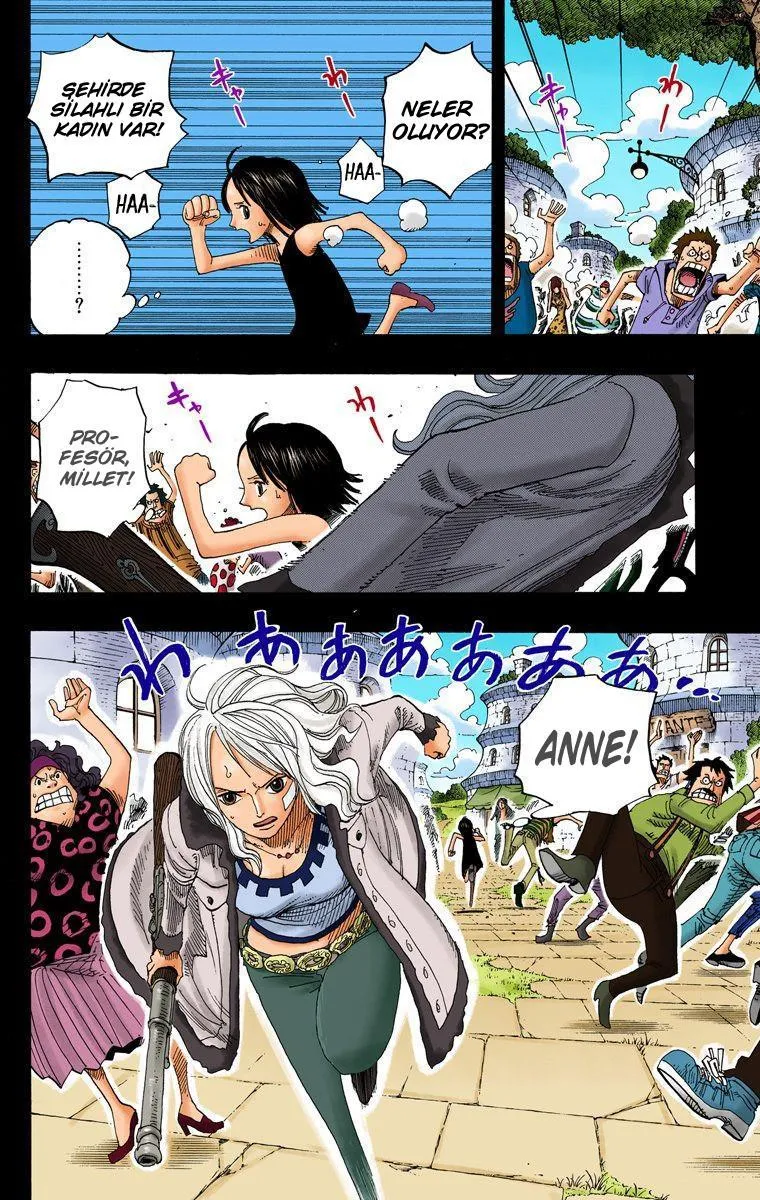 One Piece [Renkli] - Sayfa 19