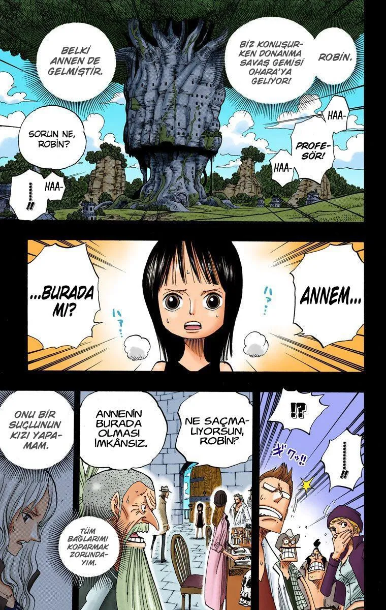 One Piece [Renkli] - Sayfa 3