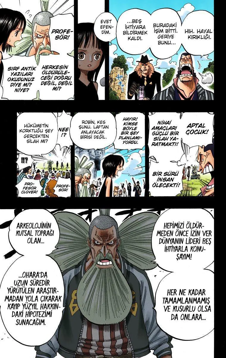 One Piece [Renkli] - Sayfa 19