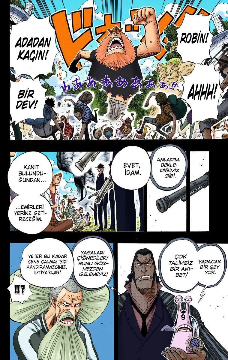 One Piece [Renkli] - Sayfa 5