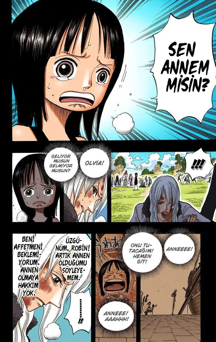 One Piece [Renkli] - Sayfa 15