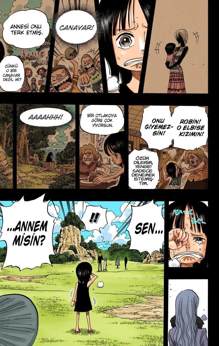 One Piece [Renkli] - Sayfa 16