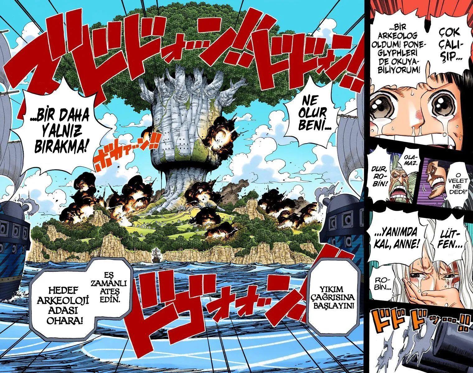 One Piece [Renkli] - Sayfa 19