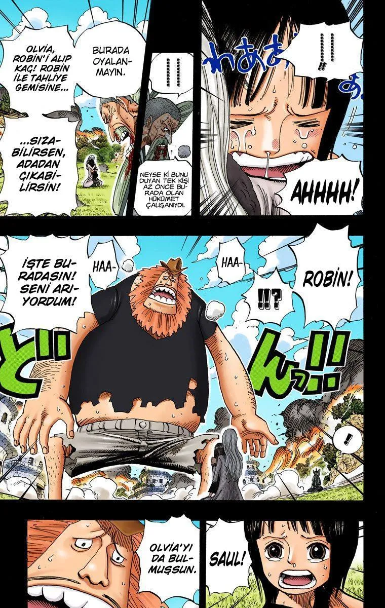 One Piece [Renkli] - Sayfa 8