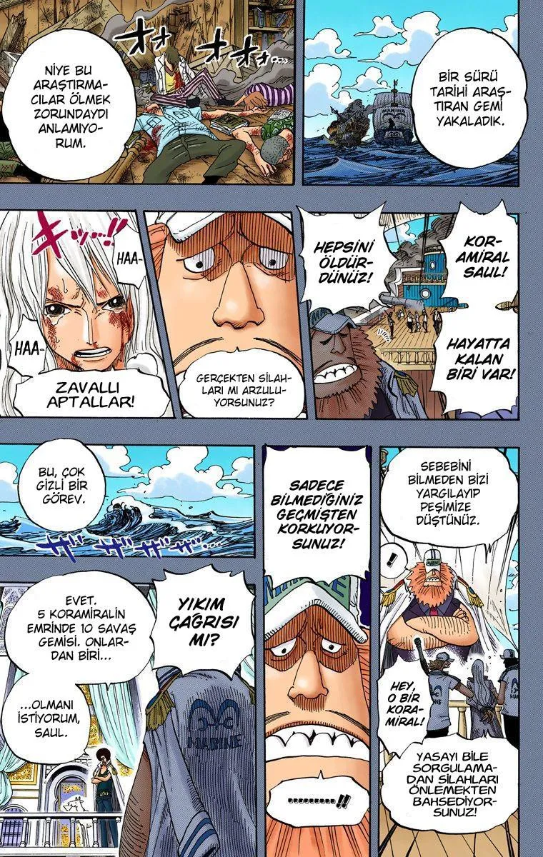 One Piece [Renkli] - Sayfa 14