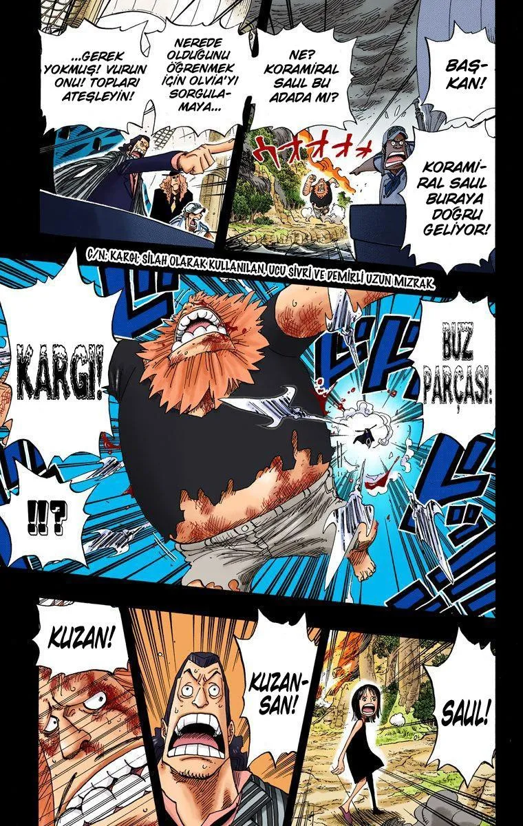 One Piece [Renkli] - Sayfa 10