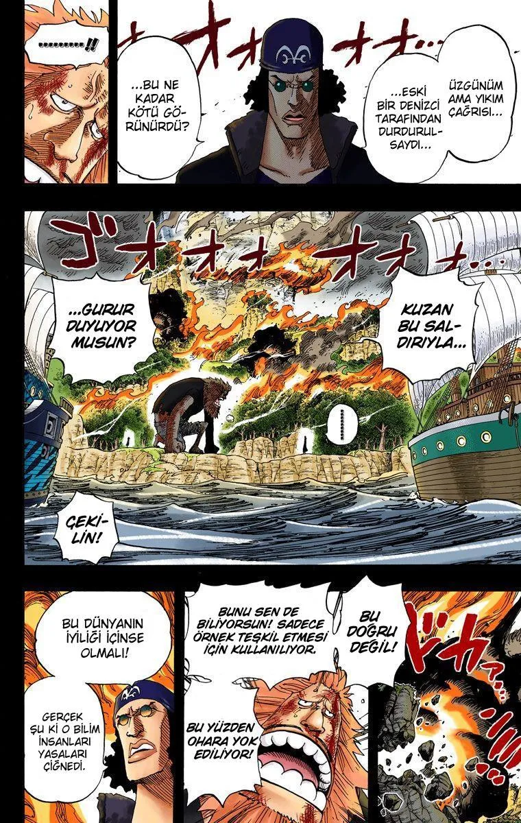 One Piece [Renkli] - Sayfa 11