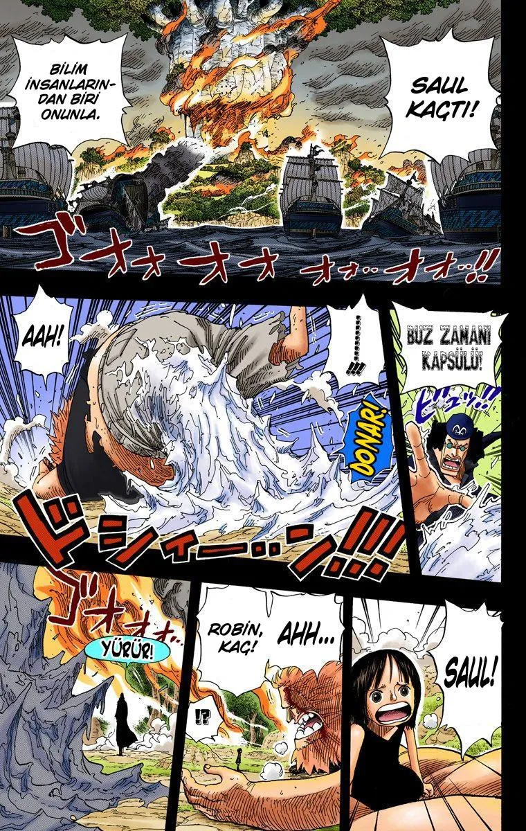 One Piece [Renkli] - Sayfa 14