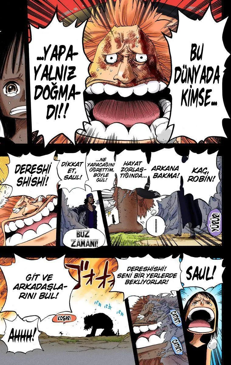 One Piece [Renkli] - Sayfa 16