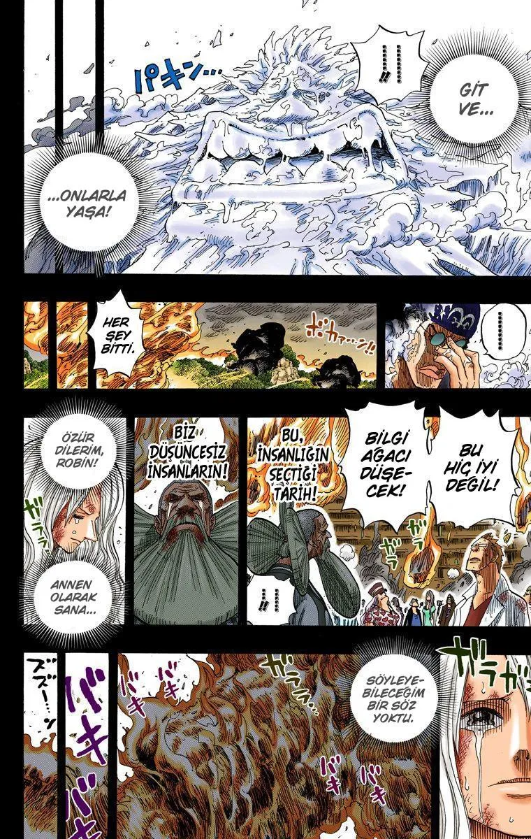 One Piece [Renkli] - Sayfa 17