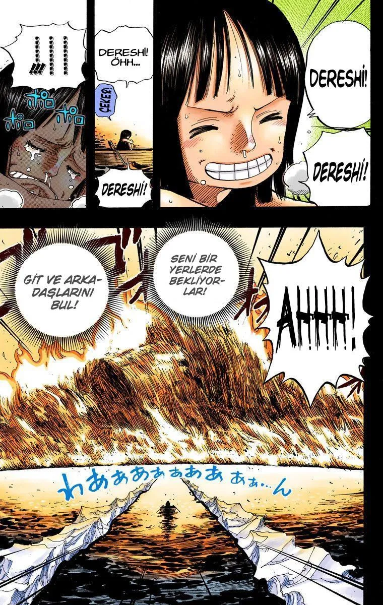 One Piece [Renkli] - Sayfa 20