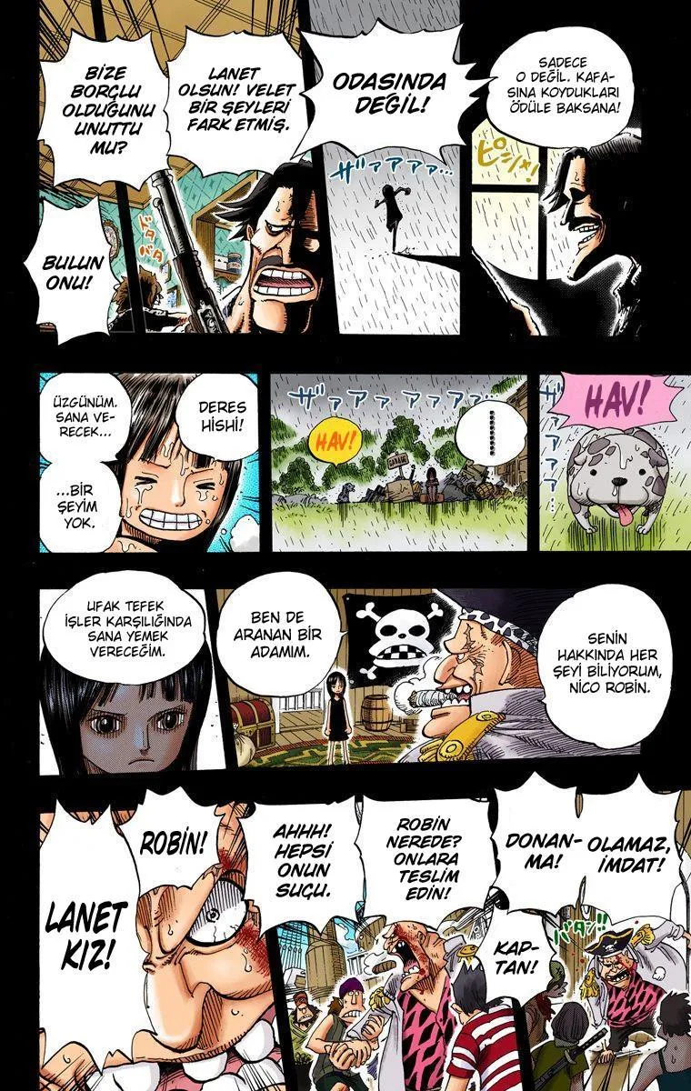 One Piece [Renkli] - Sayfa 7