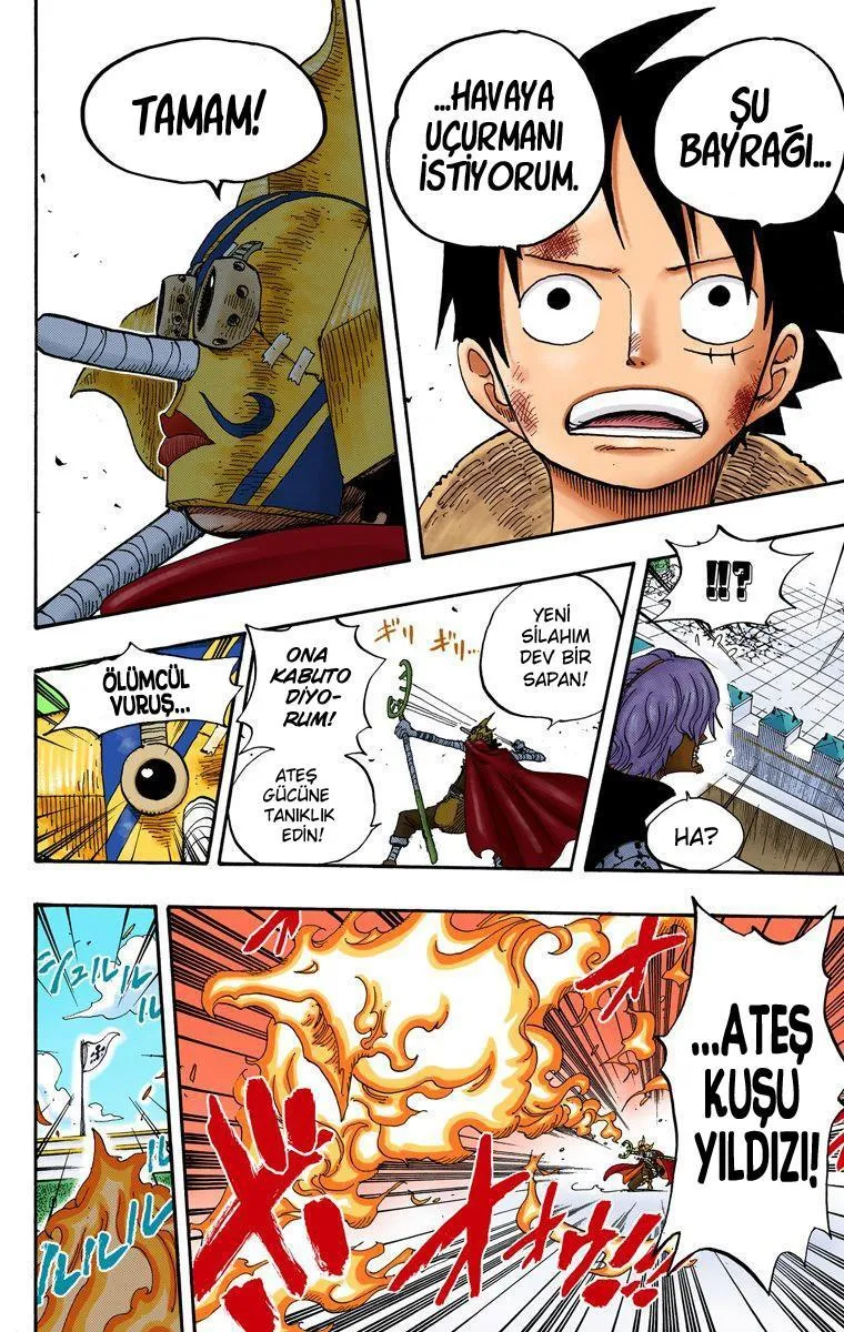 One Piece [Renkli] - Sayfa 13