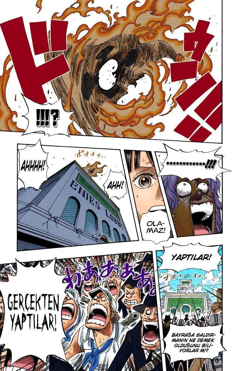 One Piece [Renkli] - Sayfa 14