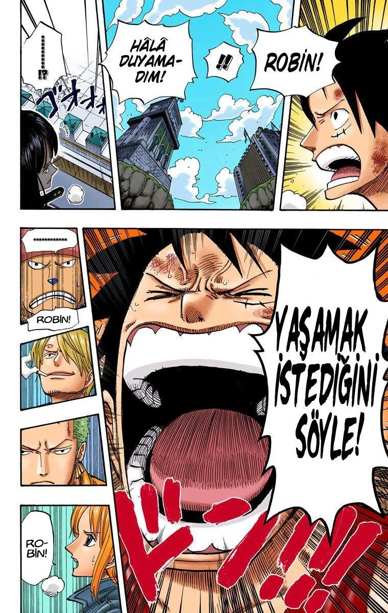 One Piece [Renkli] - Sayfa 16