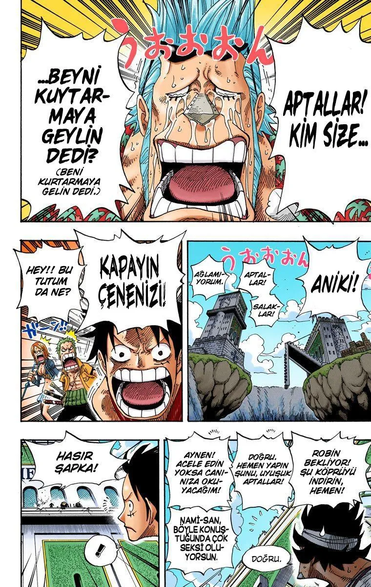 One Piece [Renkli] - Sayfa 14