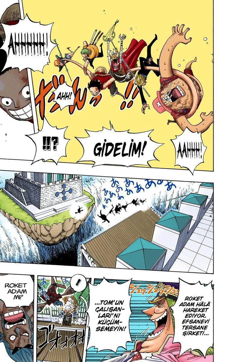 One Piece [Renkli] - Sayfa 17