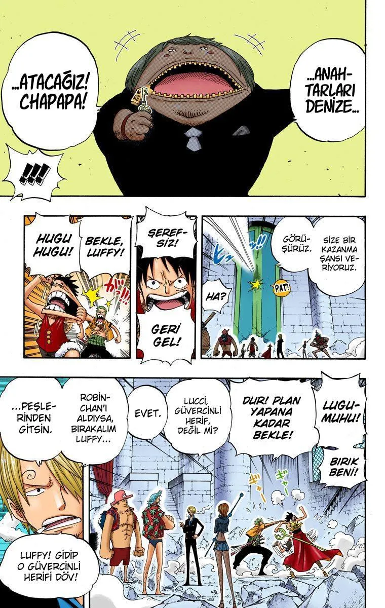 One Piece [Renkli] - Sayfa 14