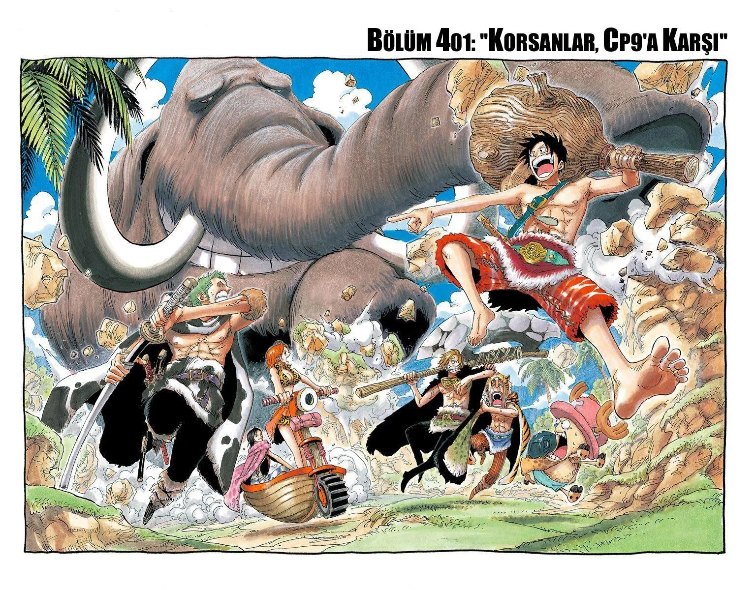 One Piece [Renkli] - Sayfa 2