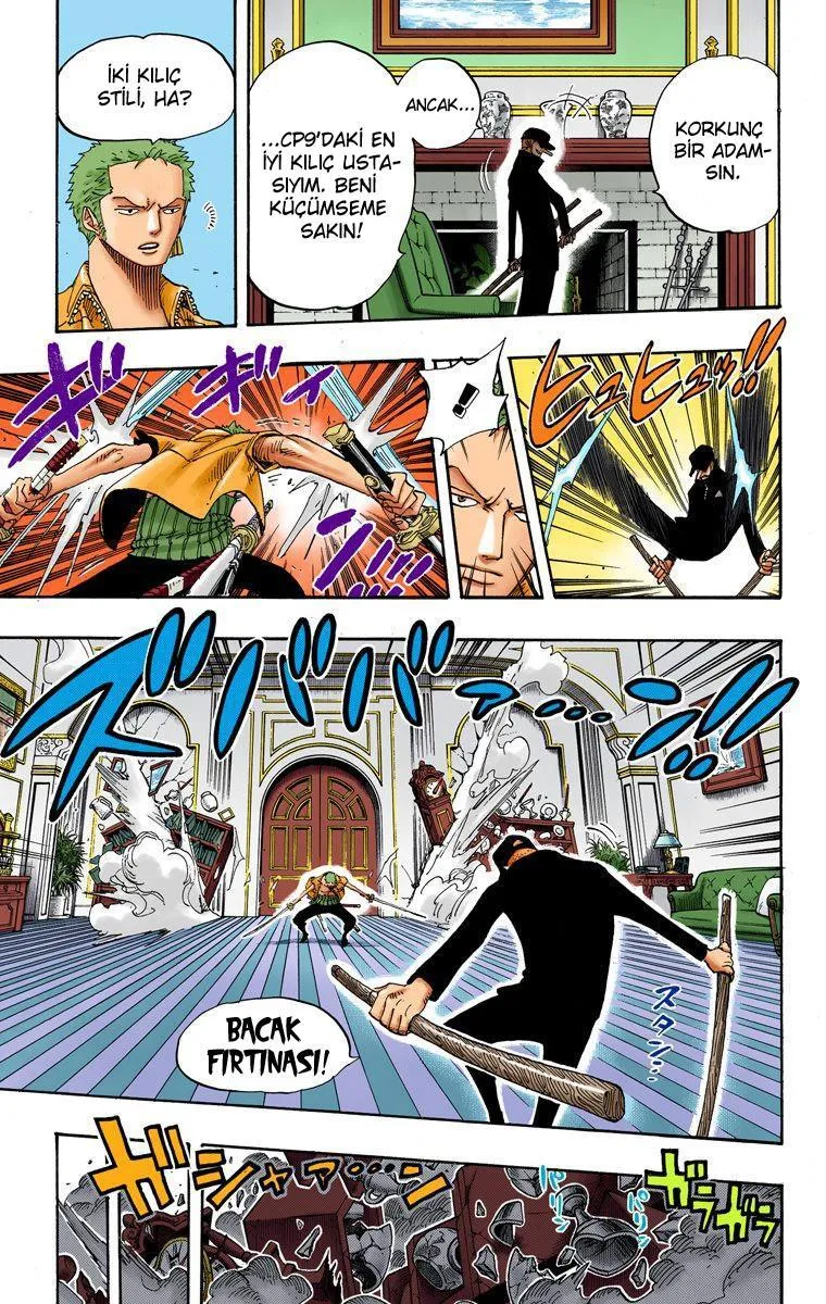 One Piece [Renkli] - Sayfa 5