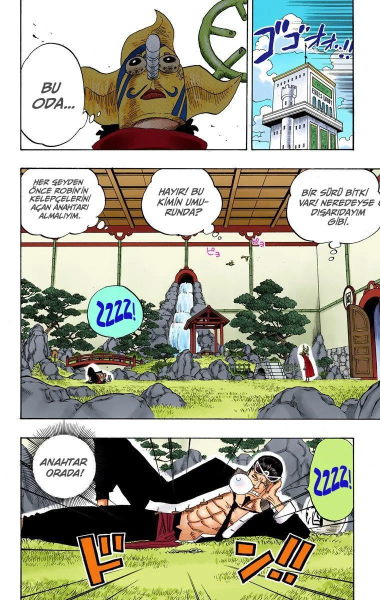 One Piece [Renkli] - Sayfa 12