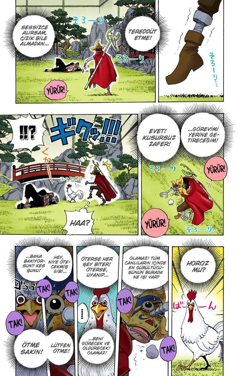 One Piece [Renkli] - Sayfa 13