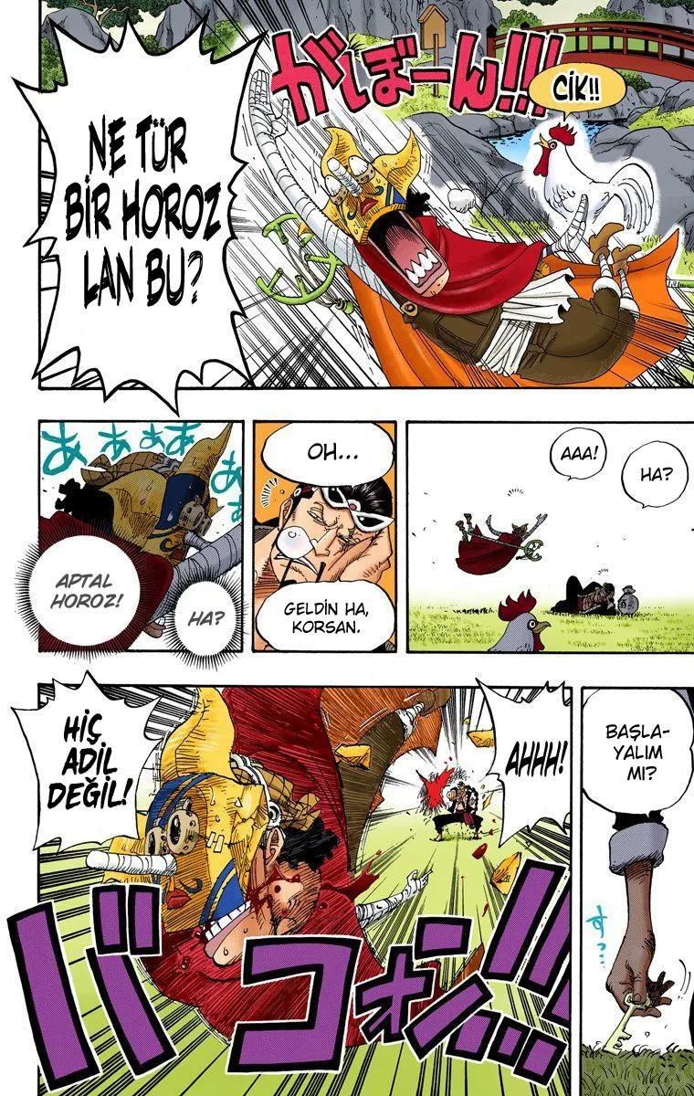 One Piece [Renkli] - Sayfa 14