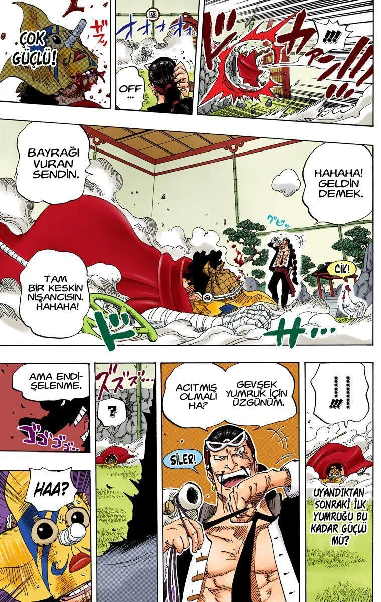 One Piece [Renkli] - Sayfa 15