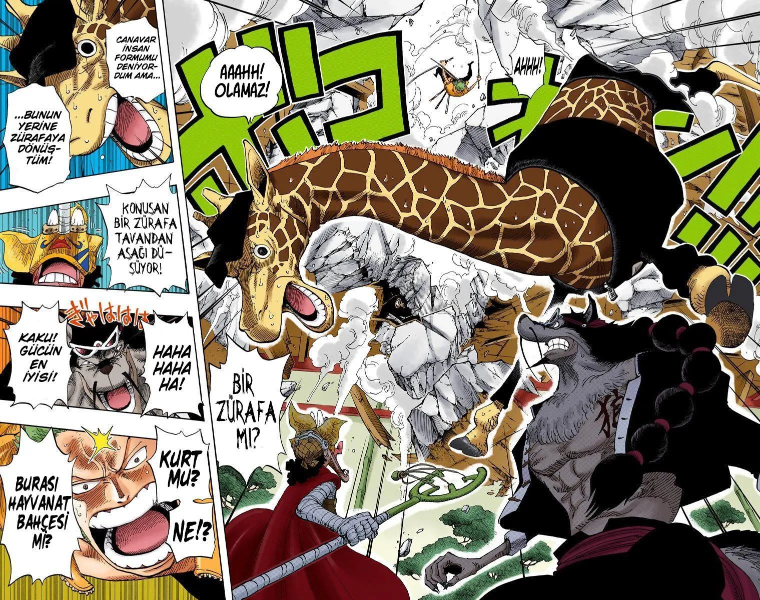 One Piece [Renkli] - Sayfa 17