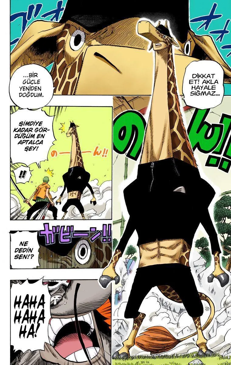 One Piece [Renkli] - Sayfa 5