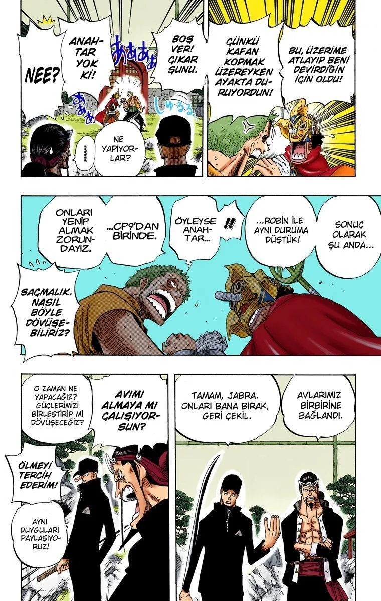 One Piece [Renkli] - Sayfa 10