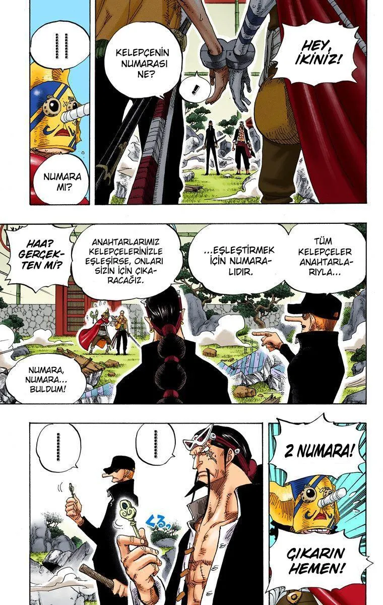 One Piece [Renkli] - Sayfa 11