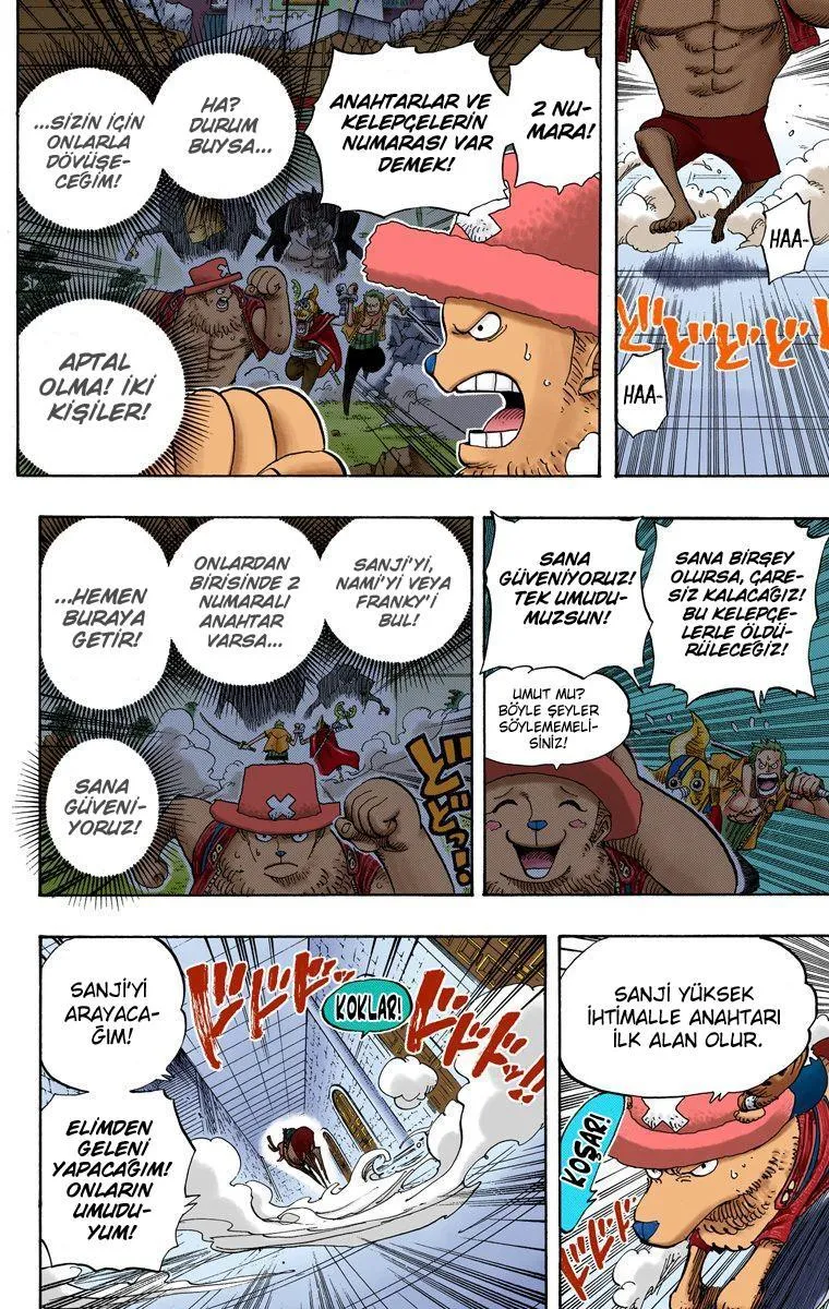 One Piece [Renkli] - Sayfa 14