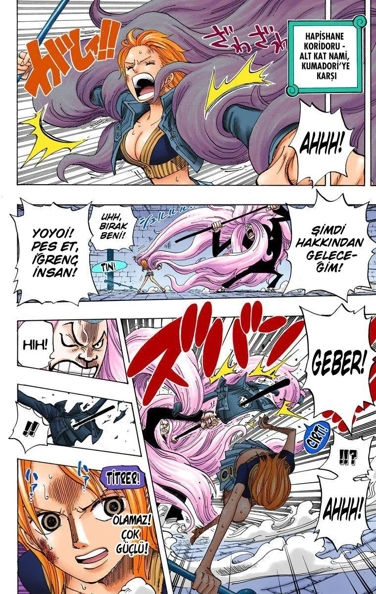 One Piece [Renkli] - Sayfa 16