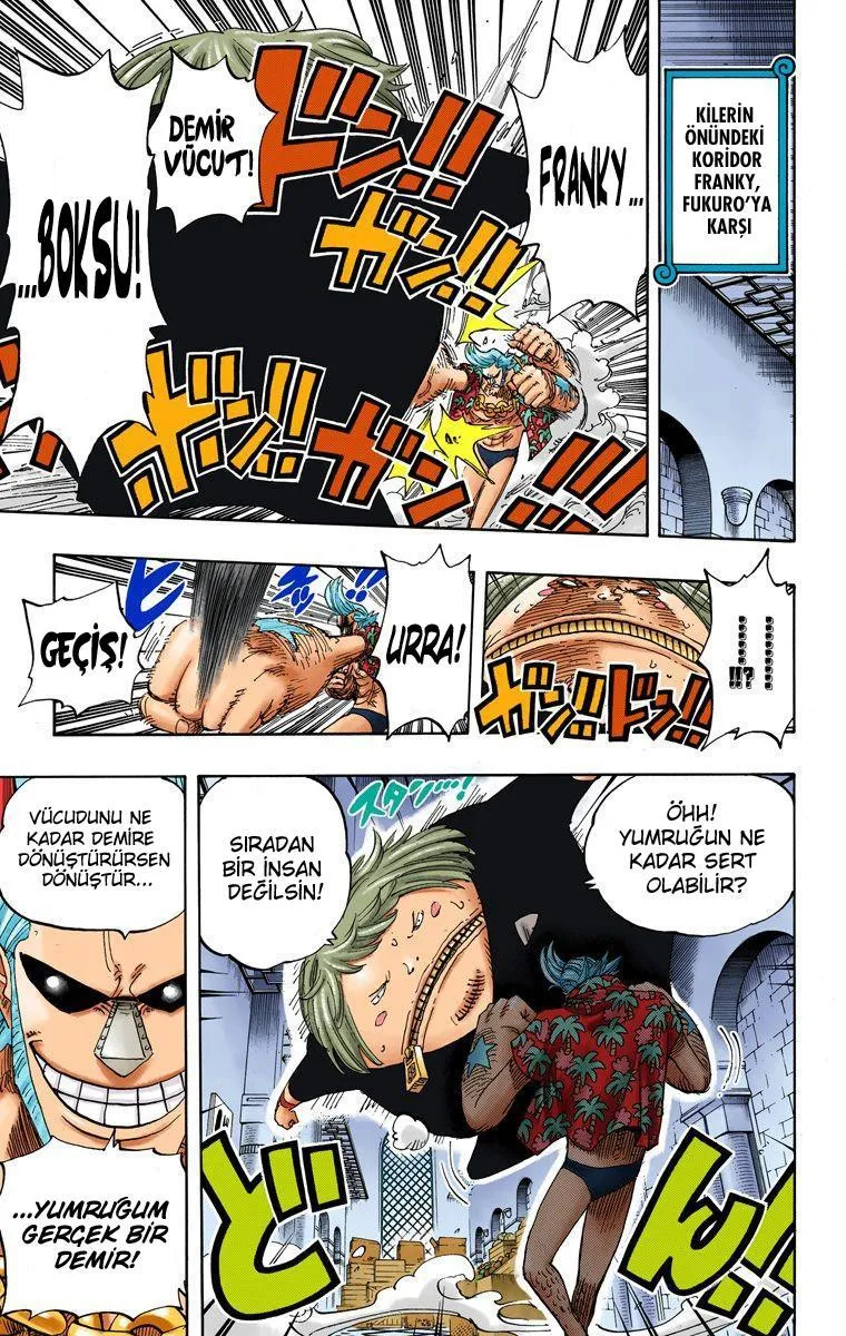 One Piece [Renkli] - Sayfa 17