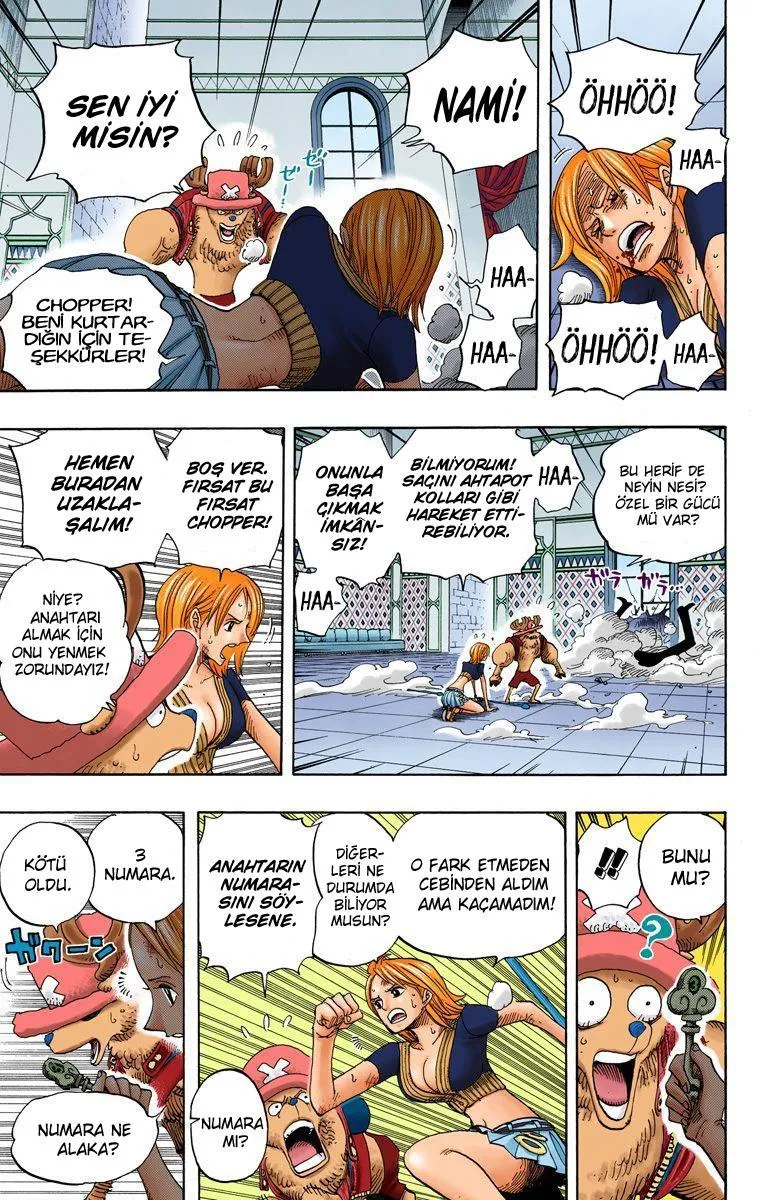 One Piece [Renkli] - Sayfa 12