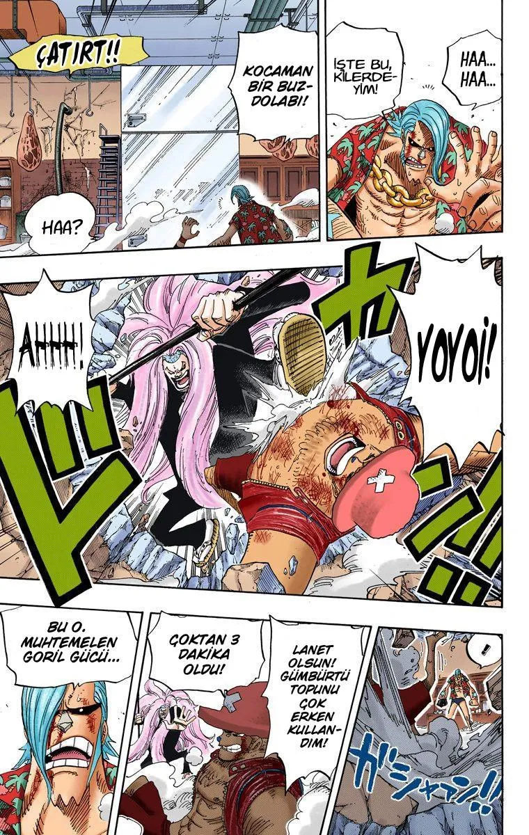 One Piece [Renkli] - Sayfa 12