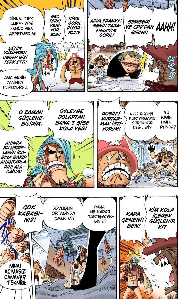 One Piece [Renkli] - Sayfa 14