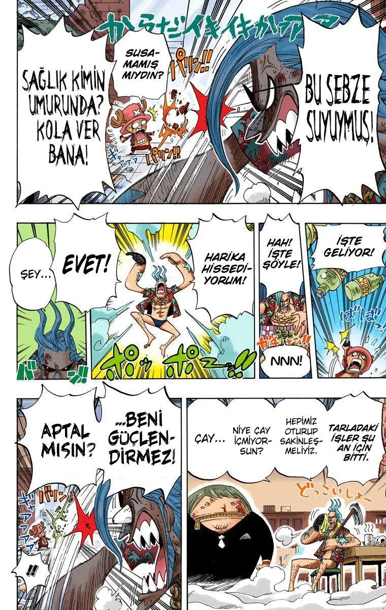 One Piece [Renkli] - Sayfa 17