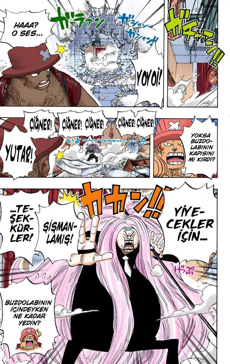One Piece [Renkli] - Sayfa 11