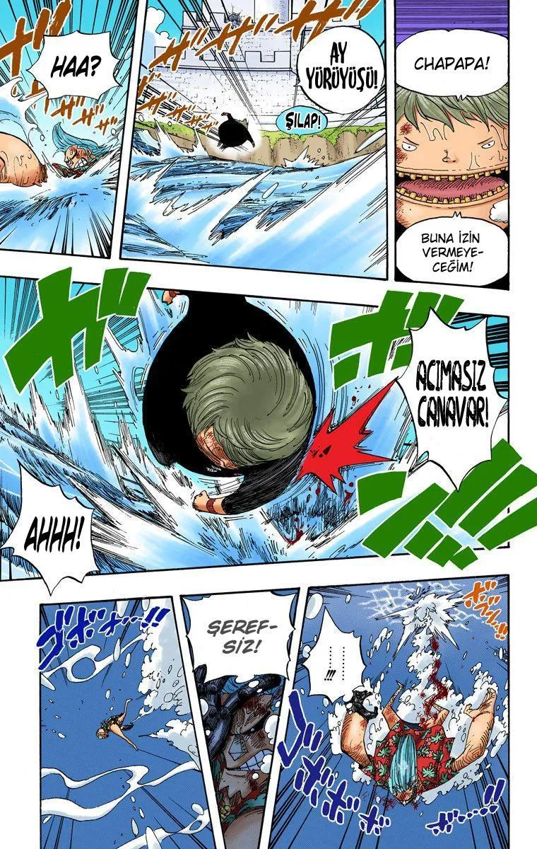 One Piece [Renkli] - Sayfa 13