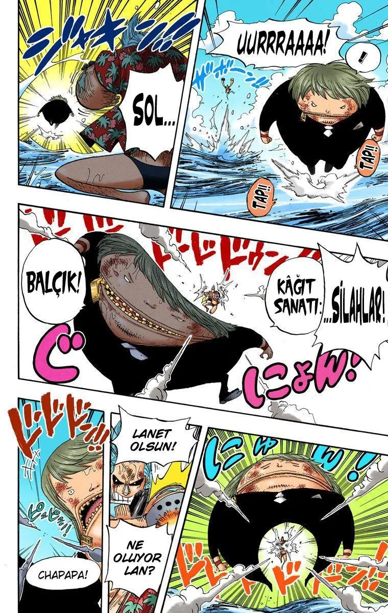 One Piece [Renkli] - Sayfa 14