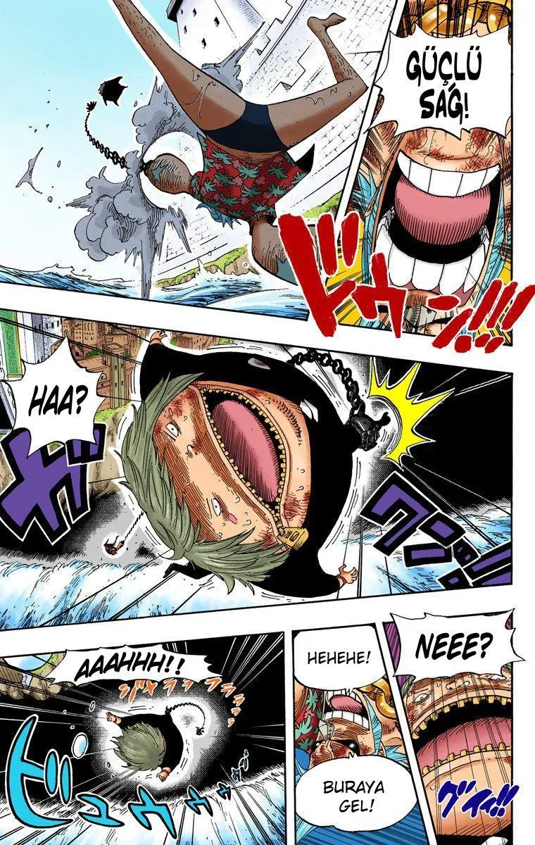 One Piece [Renkli] - Sayfa 17