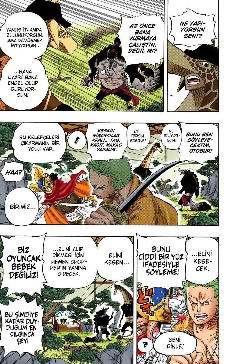 One Piece [Renkli] - Sayfa 9