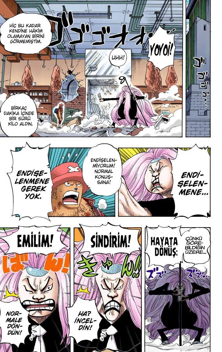 One Piece [Renkli] - Sayfa 11