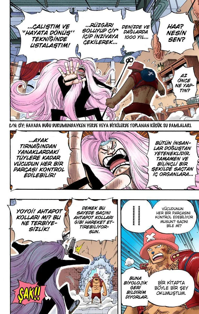 One Piece [Renkli] - Sayfa 12