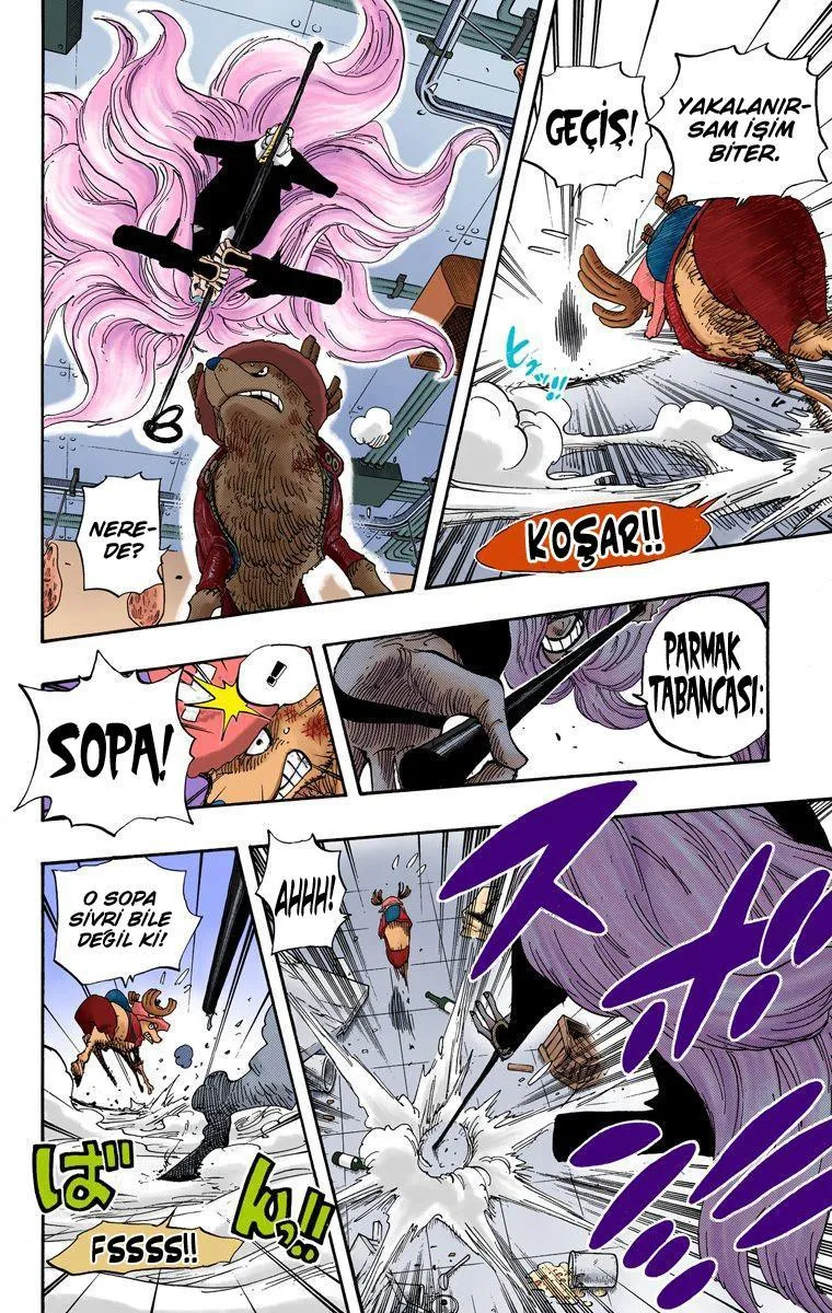 One Piece [Renkli] - Sayfa 14