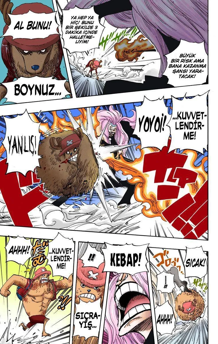 One Piece [Renkli] - Sayfa 17